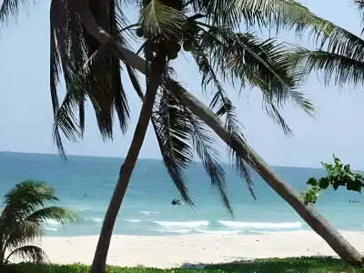 Chill Beach Resort - 27
