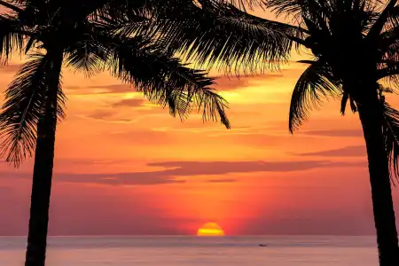 Sun Shine Patong - 16