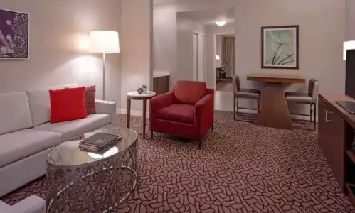 Hilton Garden Inn Downtown Dallas - 64