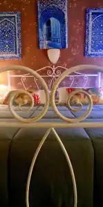 Aedes Resort - 44