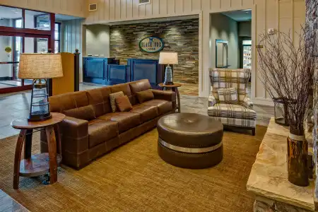 Black Fox Lodge Pigeon Forge, Tapestry Collection by Hilton - 1