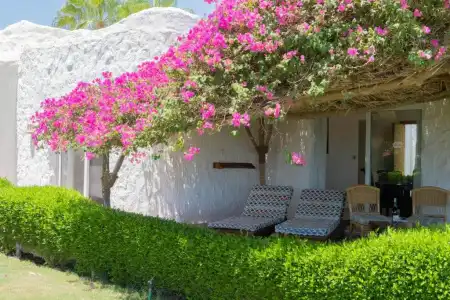 Sharm Club Beach Resort - 53