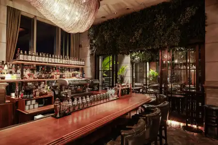 The Orient - 17