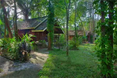 Khao Sok Riverside Cottage - 133