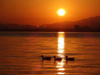 Calendar - 20