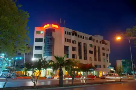 Amman Orchid - 12