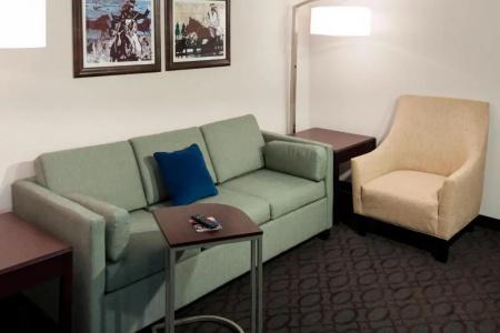 SpringHill Suites Dallas Downtown / West End - 38