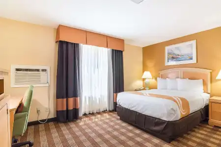 Quality Inn North Conway - 54