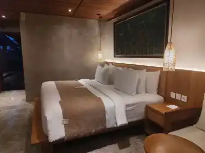 Purana Suite Ubud - 24