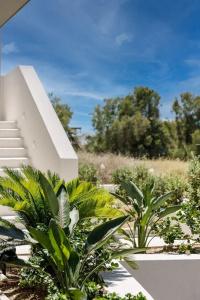 Opalia Suites - 37