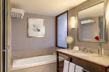 Sheraton Buenos Aires & Convention Center - 124