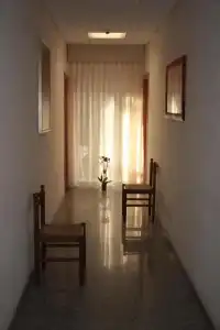 Orchidea - 14