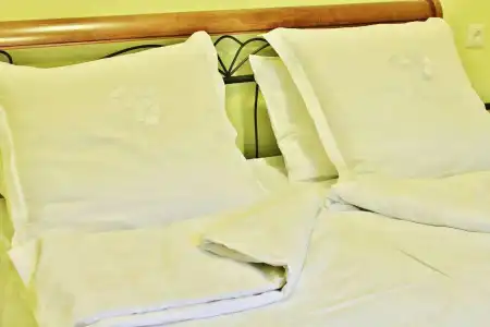 Red Fox Guesthouse - 2