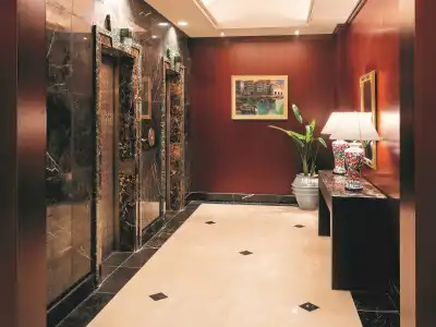 Patio Dogo - 10