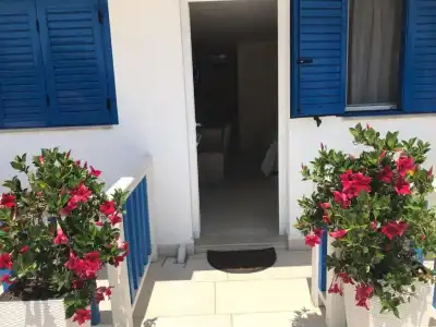Sofo Dhermi - 23