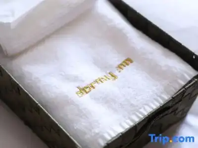 Dormy Inn Premium Shibuya Jingumae Hot Spring - 63