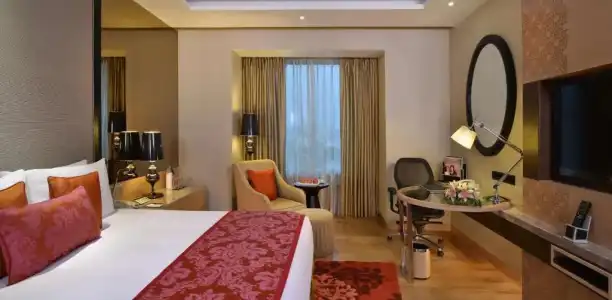 Radisson Blu Jaipur - 13
