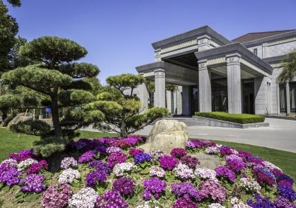 Xijiao State Guest - 30