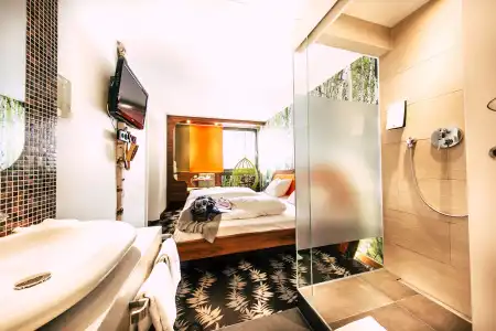 Cocoon Stachus - 10