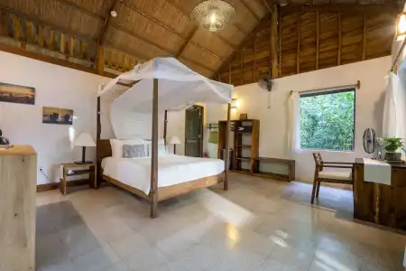 Mango Bay Resort - 253
