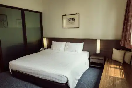 VIP (SG Clean Certified) - 43