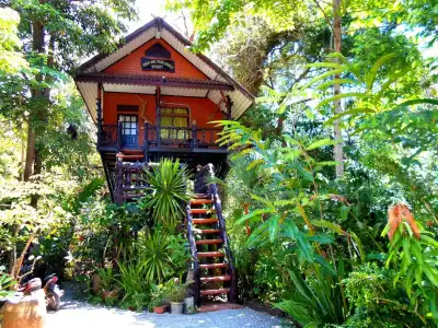 Khao Sok Tree House - 15