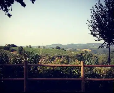 Chianti Village Morrocco - 19