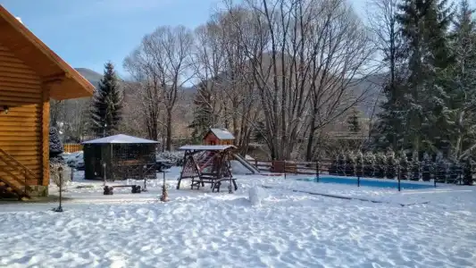 Mini Zakrut - 29