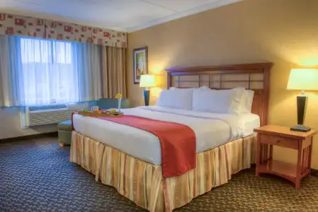 Four Points by Sheraton Windsor Downtown - 6