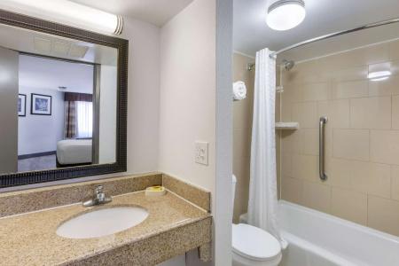 Best Western Plus El Paso Airport & Conference Center - 66