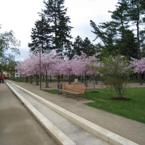 Lazensky Park - 25