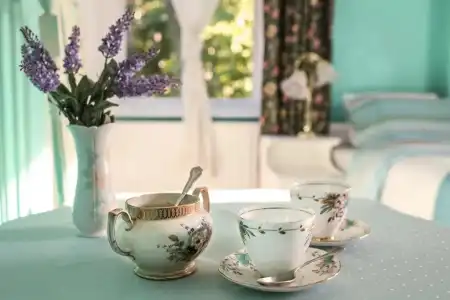 Dawson Place, Juliette's Bed and Breakfast - 49