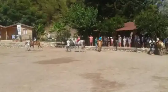 Oranj Ranch - 16