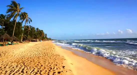 Thanh Kieu Beach Resort - 38