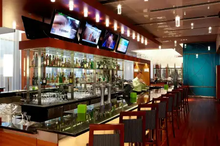 Montreal Airport Marriott In-Terminal - 42