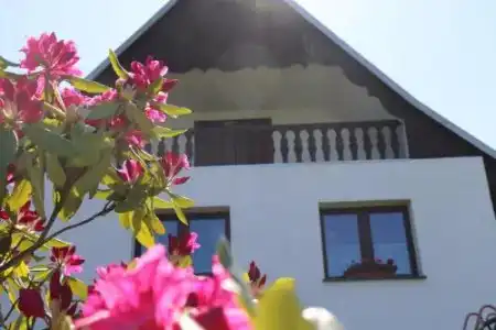 Pension Hubertushof Freiberg - 9