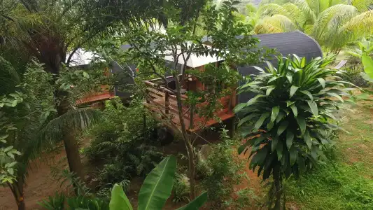 A Peace in Paradise - 1