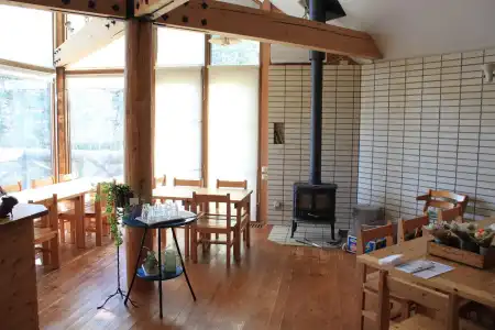 Pension Gooseberry - 16