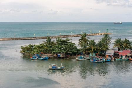 Nipola - 20