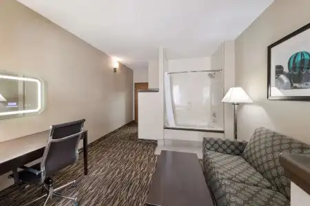 Comfort Suites Plano East - Richardson - 68