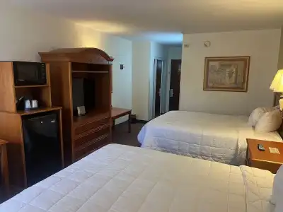 Orlando Palms - 49