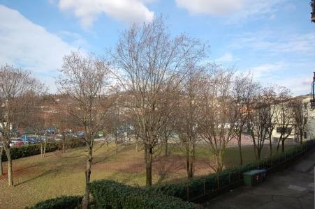 La Rosa Scarlatta Broseta - 12