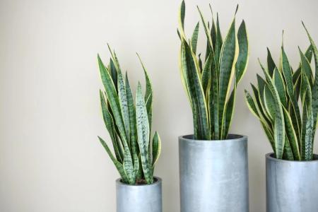 The Grey Design - 11