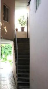 Le Petit - 15