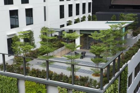 Holiday Inn Express SINGAPORE ORCHARD ROAD by IHG - 19