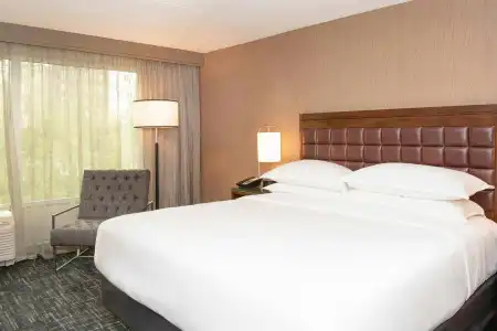 Sheraton Ann Arbor - 19
