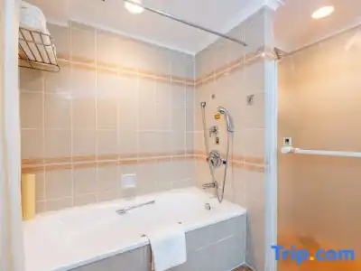Grand Skylight Royal - 93