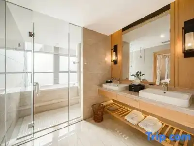 SilkTree - 17