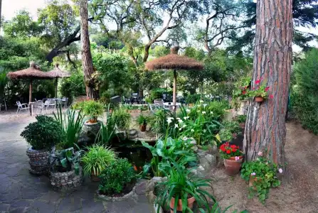 Hostal Magnolia - 15