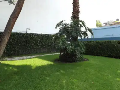 Pedregal Palace - 0